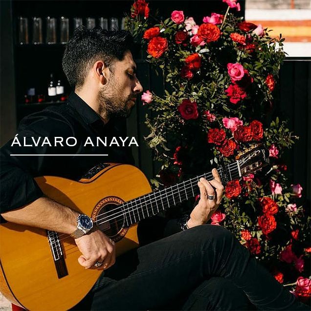 Alvaro Anaya - Guitarista Flamenco Alvaro Anaya | Guitarrista Flamenco